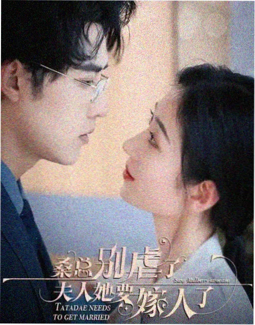 间谍过家家第三季 神马视频