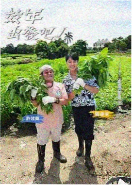 极限挑战第十季 神马视频